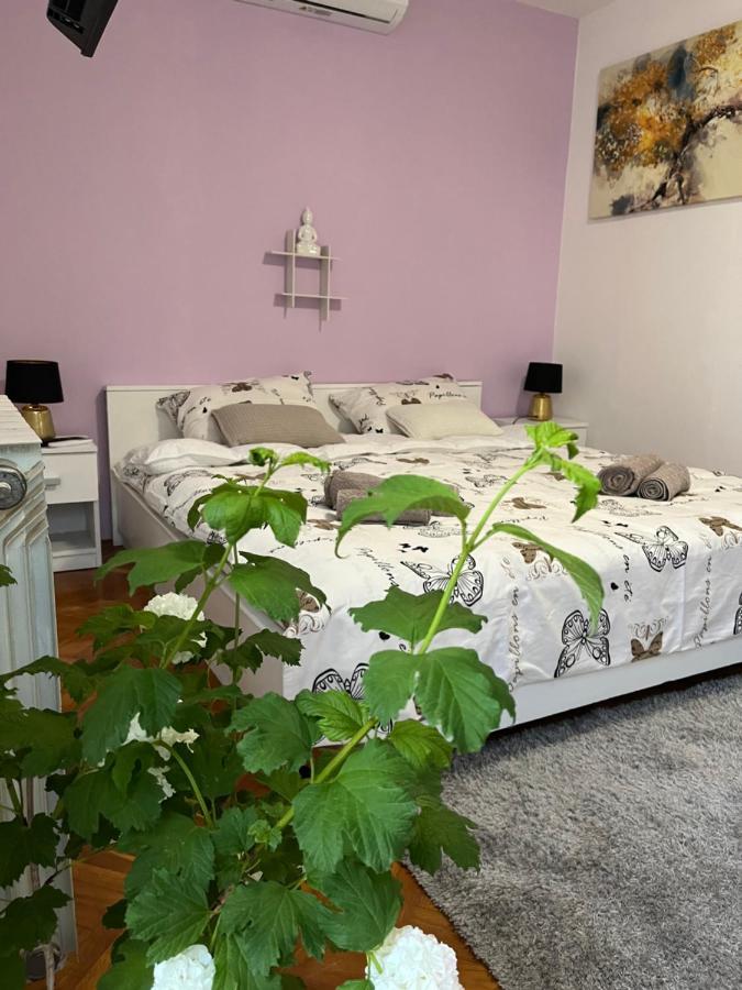 Romantic Room For Two Persons Porec Exterior photo