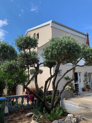 Romantic Room For Two Persons Porec Exterior photo